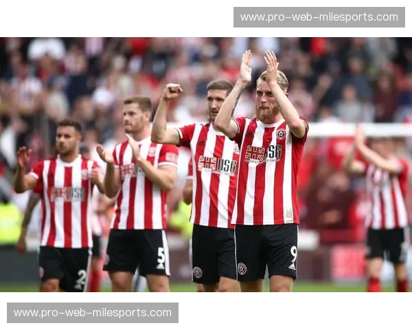 英冠新闻：赛场风云与转会焦点